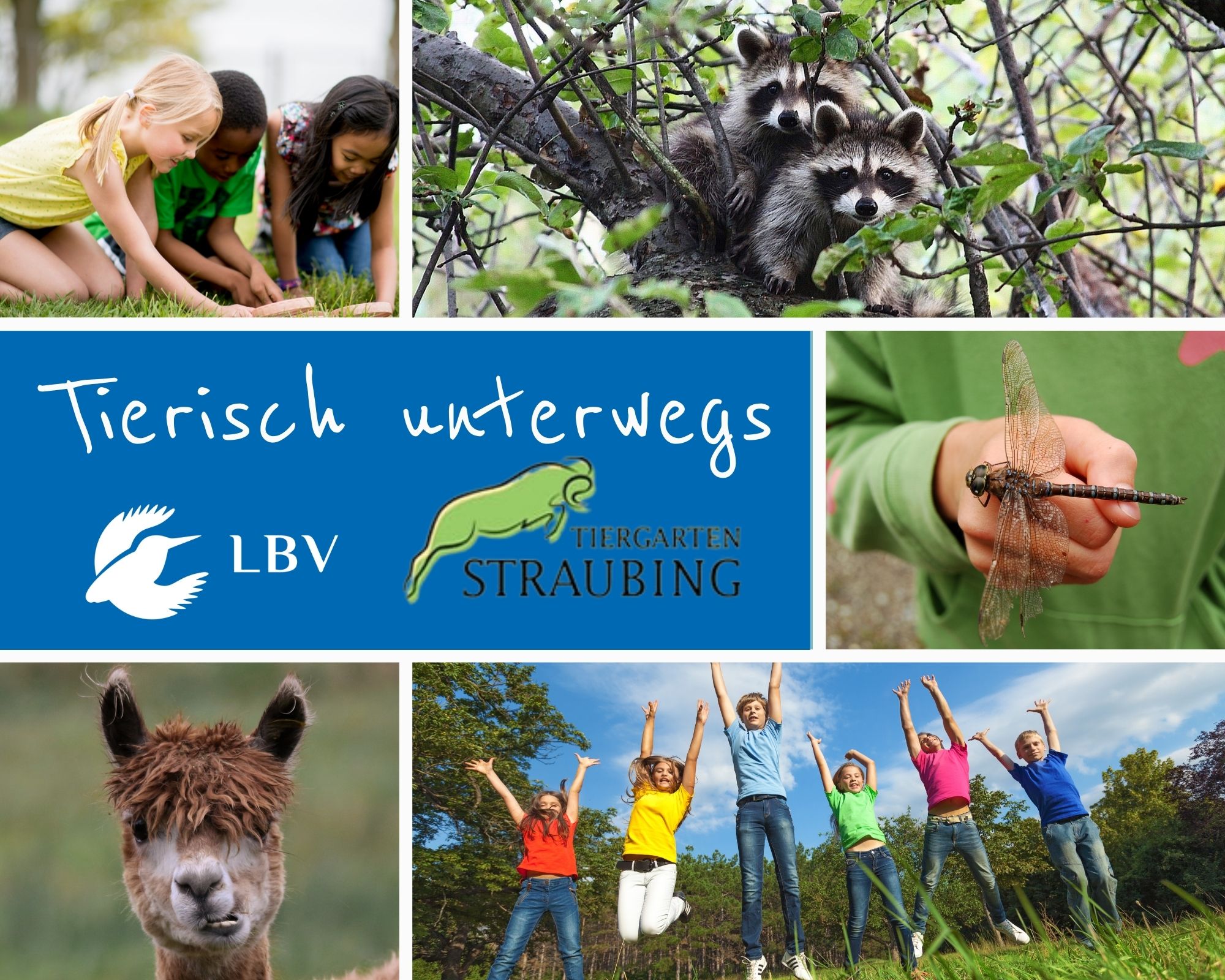 Tierisch unterwegs